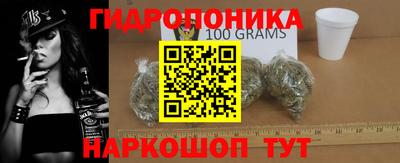 индика Жуковский