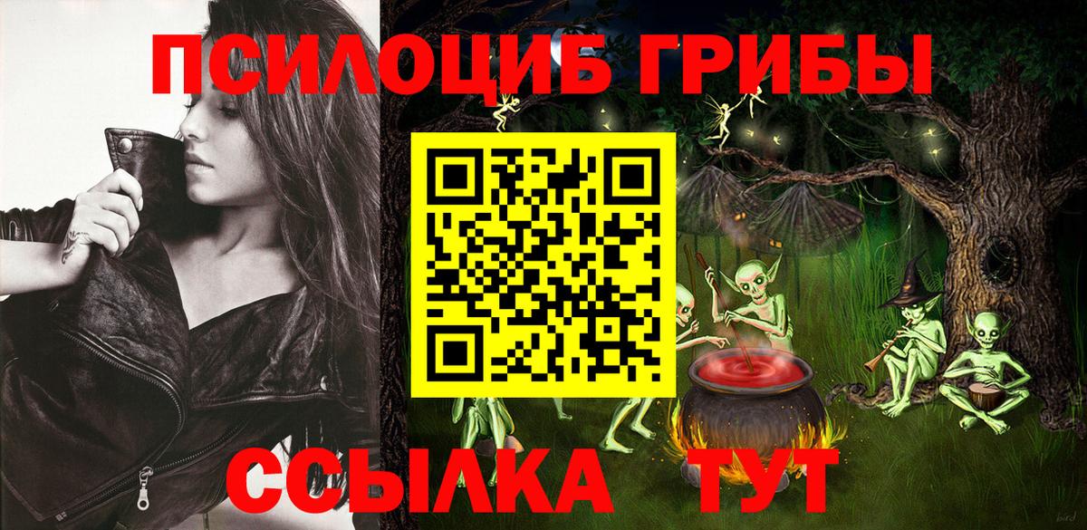 Минеральные Воды  Псилоцибиновые грибы Cubensis  Вход с VPN 